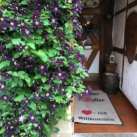 Gaestehaus Alter Keller Hotel