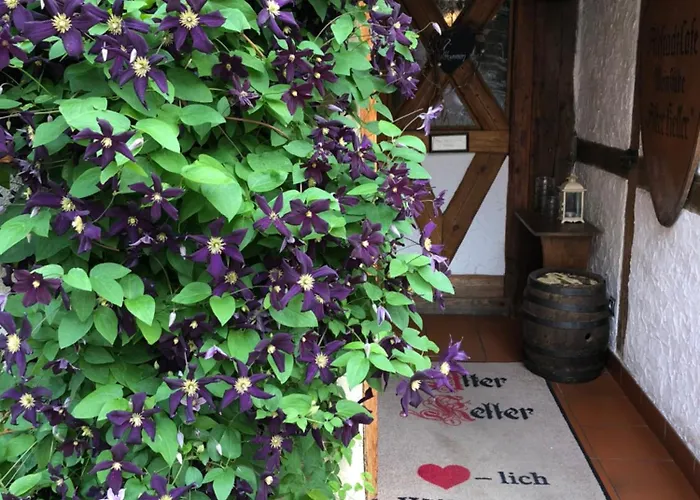 Gaestehaus Alter Keller 酒店