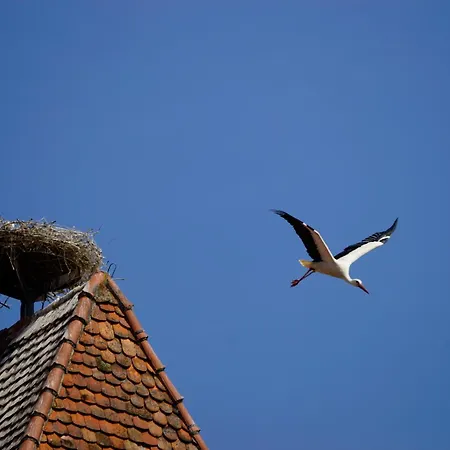 Gaestehaus Alter Keller 2* Rothenburg ob der Tauber