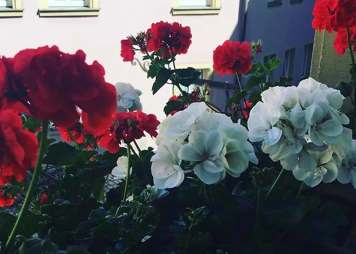 ホテル Gaestehaus Alter Keller