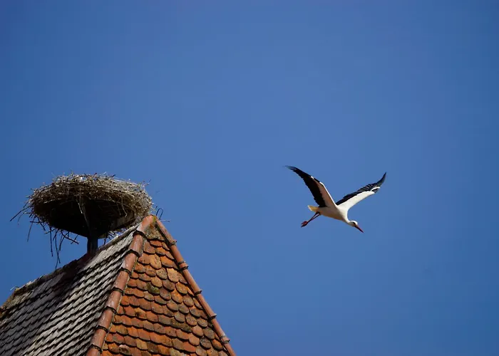 Gaestehaus Alter Keller 2* ローテンブルク・オプ・デア・タウバー