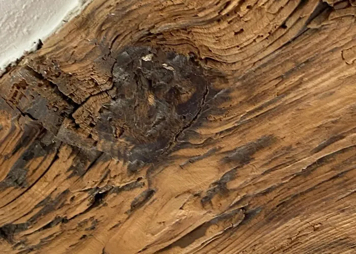 Hotel Gaestehaus Alter Keller